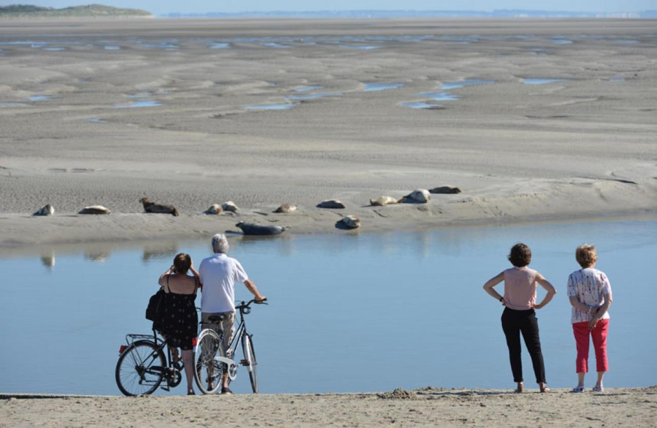 SURF Vue Mer 100m plage Berck Exterior foto
